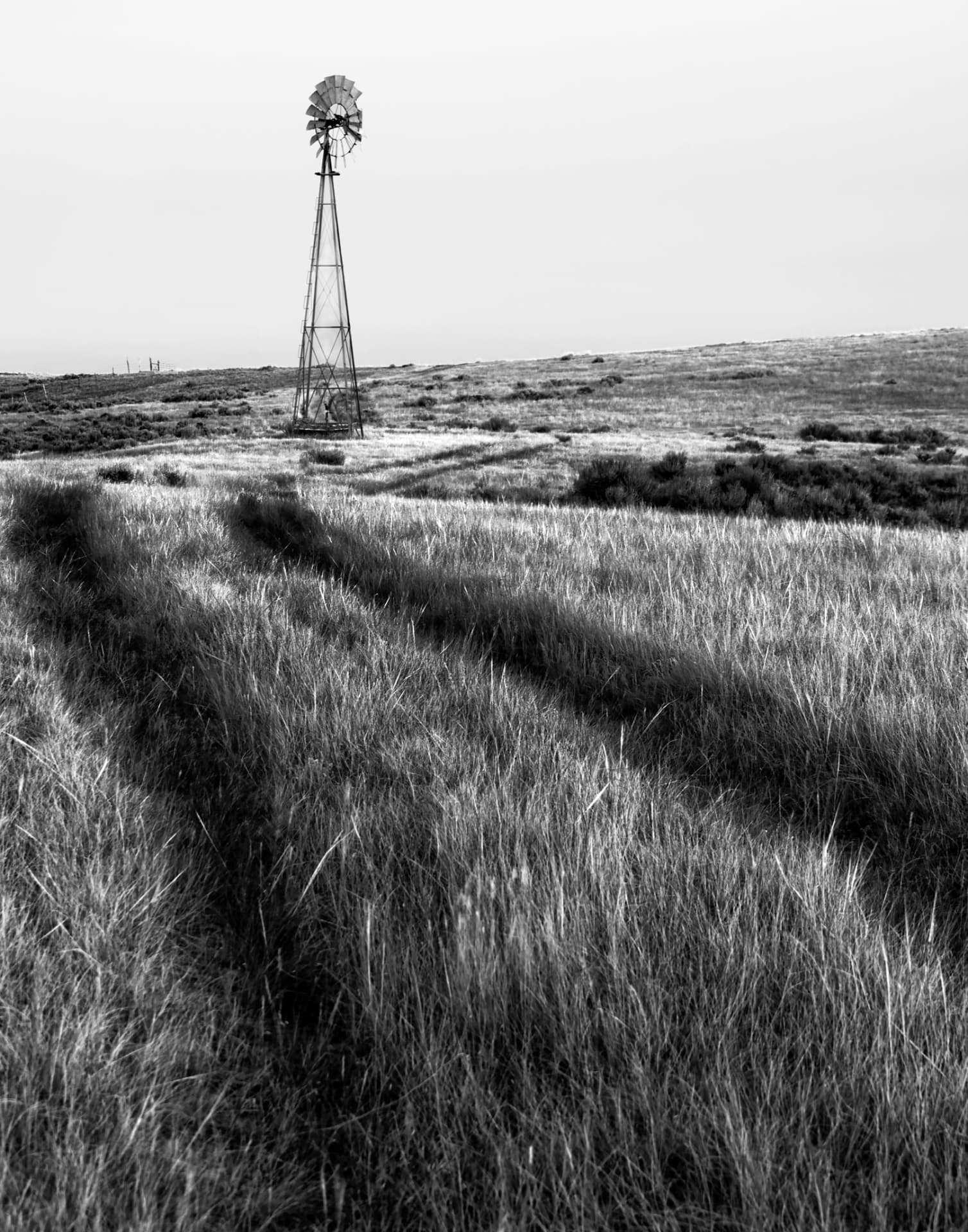A tall windmill stands above rolling prairie grassland in black and white